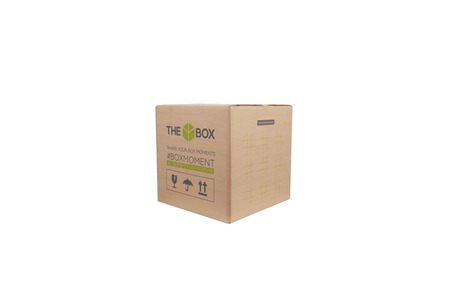 High-Quality Small Size Cardboard Box - Pack of 10